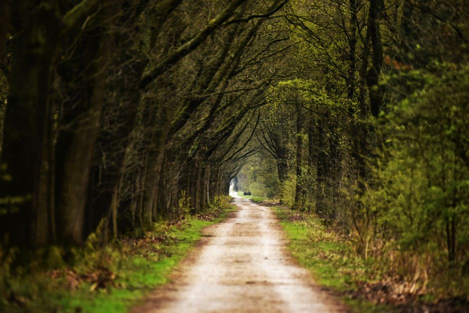 A Balanced Approach To Wellness: Sorting Fact From Fiction