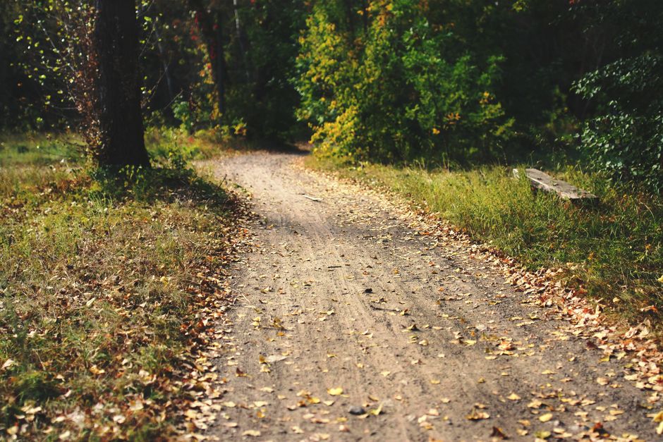A Balanced Approach To Wellness Without the Guesswork, for Real Life