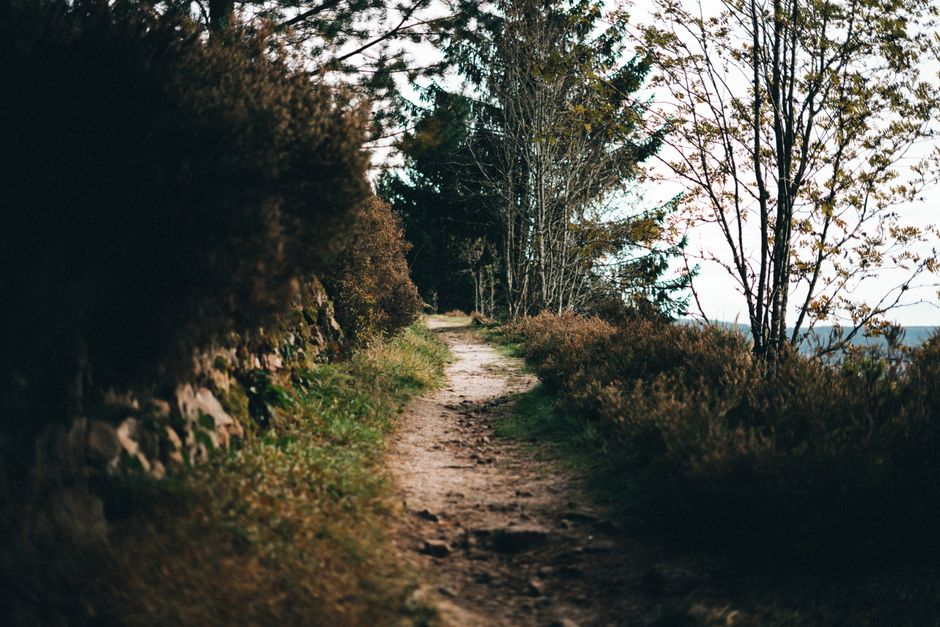 A Kinder Approach to Moving More Without Going To A Gym, Step by Step