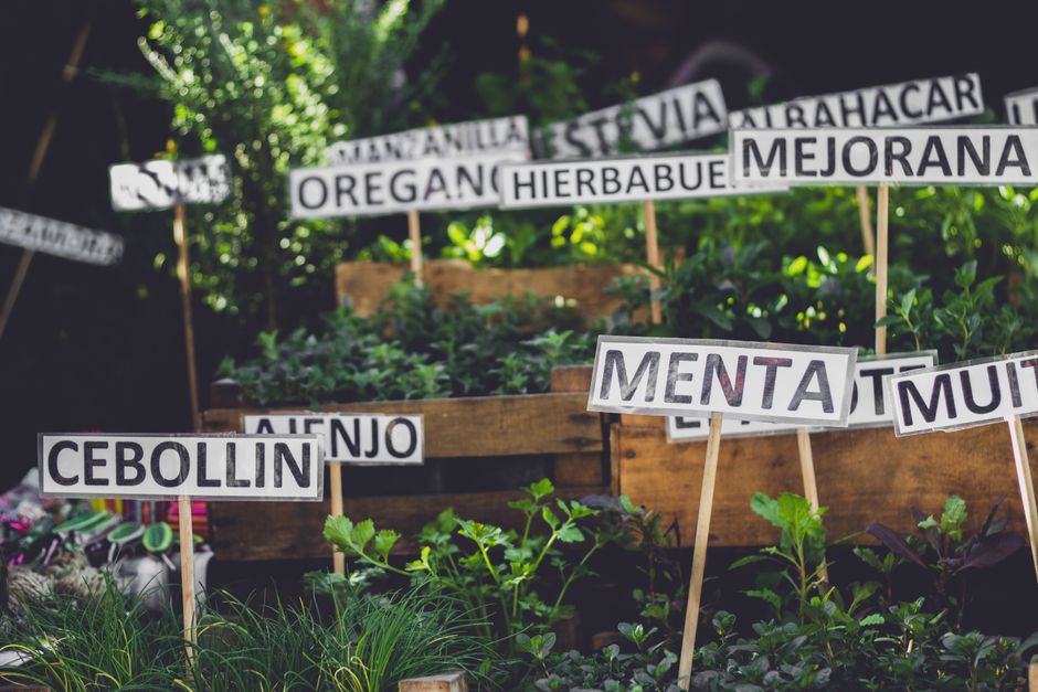 A Slower Approach to Hydration, Breath And The Overlooked Basics, in Plain Language