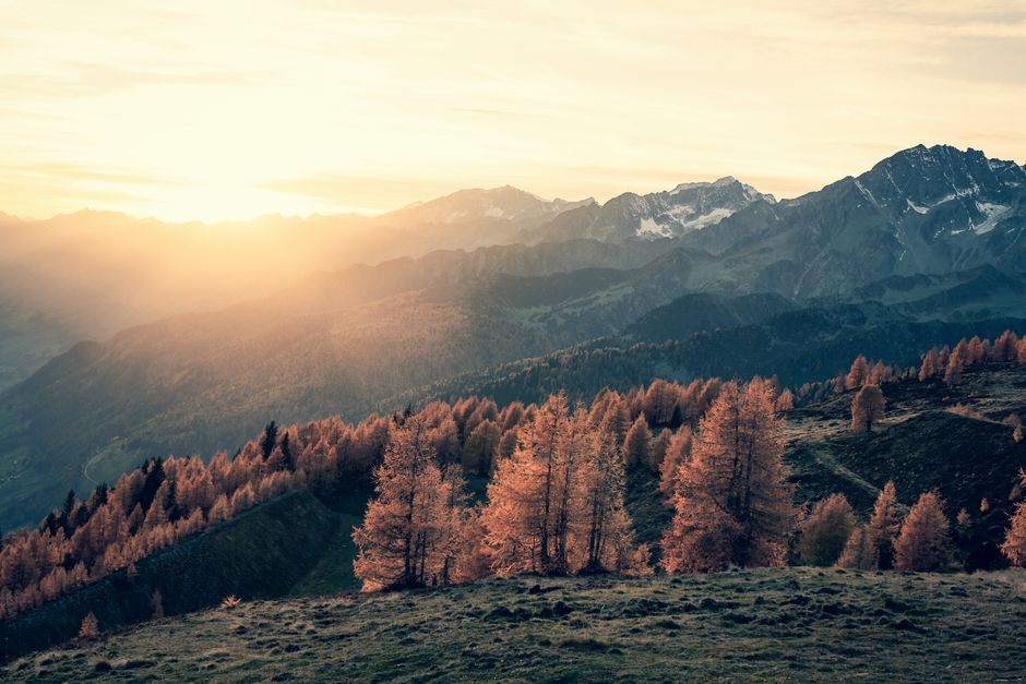 How to Stay Consistent With Understanding Health And Wellness, One Step at a Time