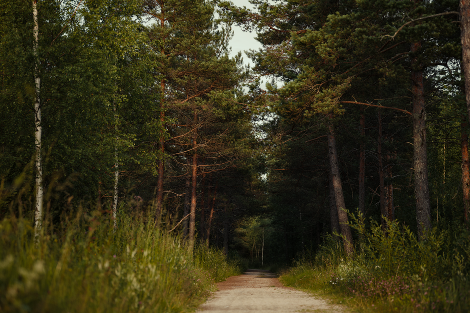 One Week of Focusing on Caring For Your Overall Health, the Honest Way