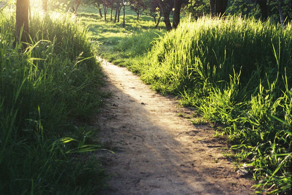 Recovery, Rest Days And Overdoing It as the Years Add Up, One Step at a Time