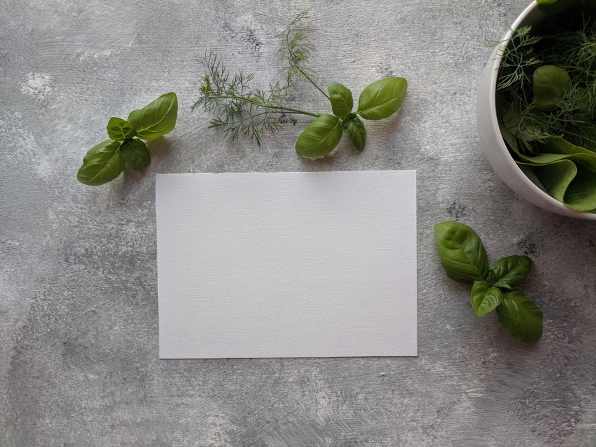 Room for Seasonal Changes And How The Body Responds in a Full Day