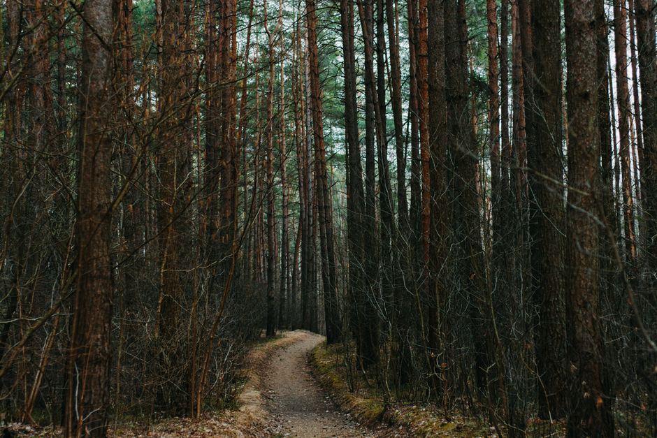 Simplicity As A Health Strategy for Busy People, the Honest Way