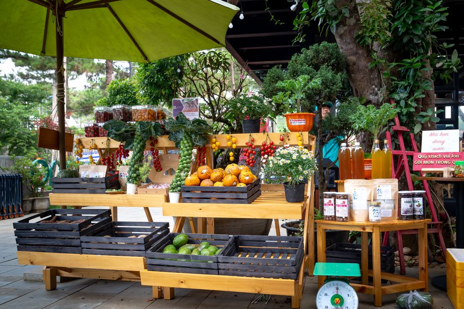 Wellness For Everyday Life Without the Guesswork, Without Overthinking It