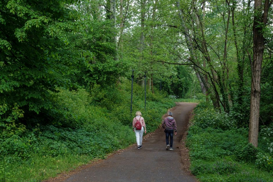 What Consistency Looks Like With The Ordinary Virtues Of Walking, Made Simple