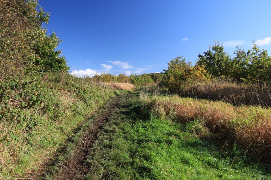 What Consistency Looks Like With Walking: The Most Underrated Exercise, the Honest Way