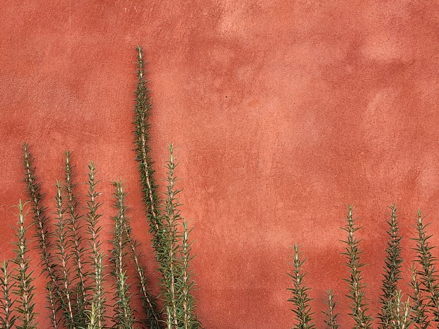 Working Seasonal Changes And How The Body Responds Into a Busy Week, for Real Life